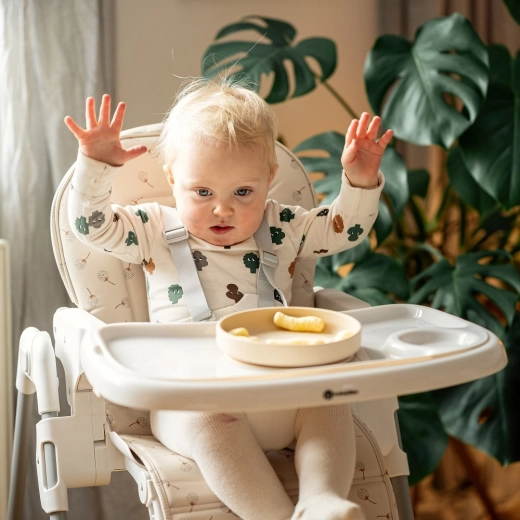 Z zweiteiliges Tablett mit spülmaschinengeeignetem Oberteil