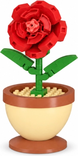 Detailreiche rote Rose