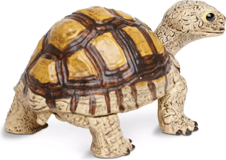 Ideale Größe zum Spielen und Ausstellen