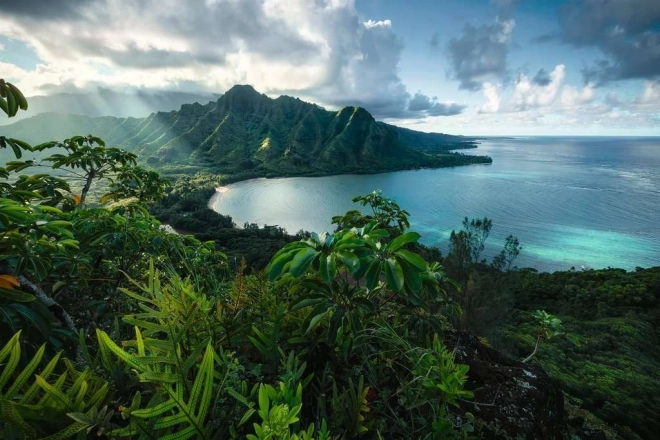 Ravensburger Puzzle Hawaiischer Ausblick 5000 Teile