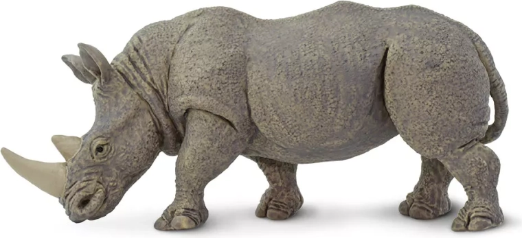 Breitmaulnashorn Safari Ltd.