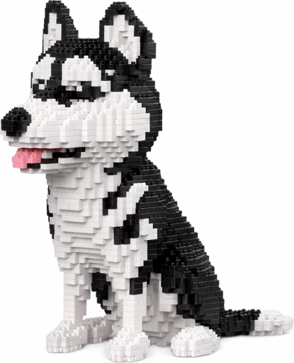 Realistisches 3D-Aussehen des Huskys