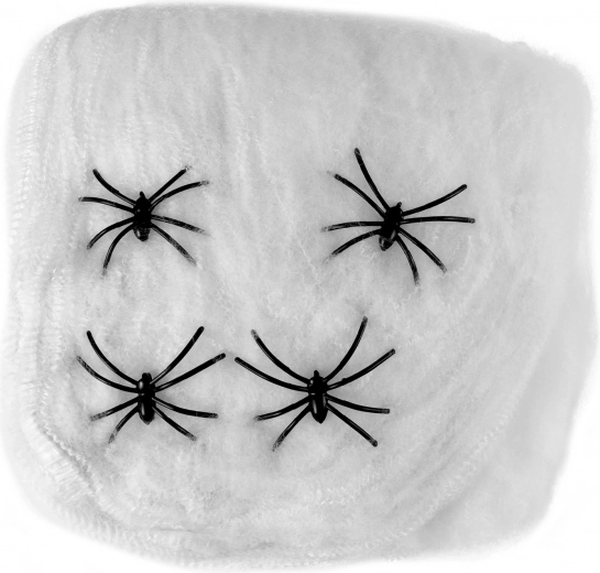 Dekoration Spinnennetz mit Spinnen