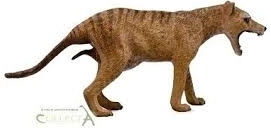 Collecta Thylacine – Weibchen (Tasmanischer Tiger)