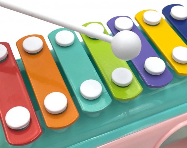 Buntes Xylophon für kleine Musiker