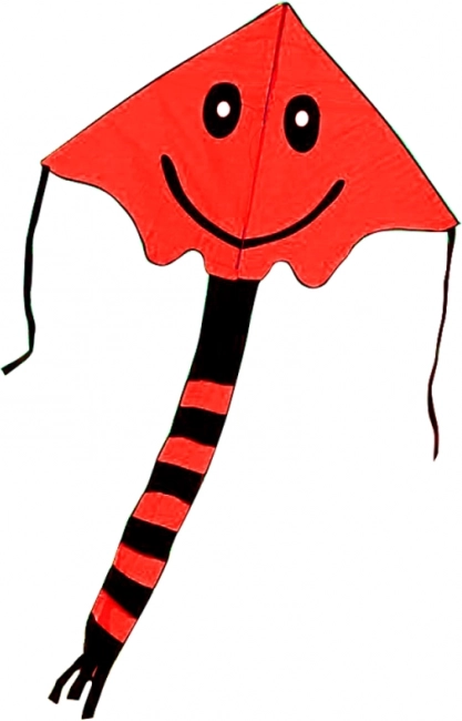 Lächelnder Flugdrachen 80 × 60 cm