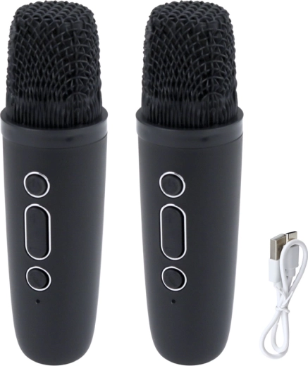 Duette ohne Kompromisse: zwei kabellose Mikrofone