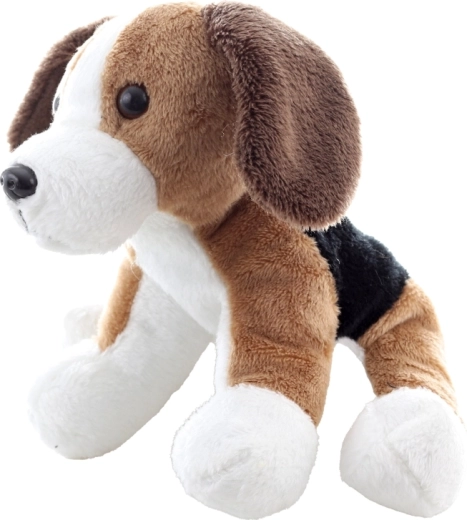 Niedliche Beagle-Details