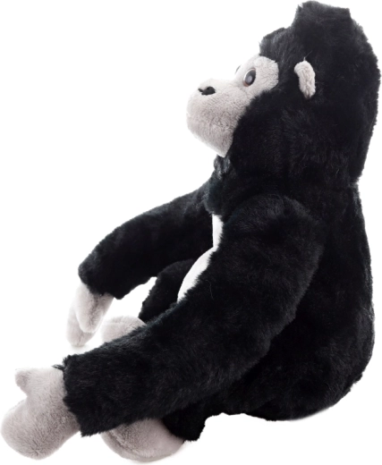 Kompakte und vielseitige Größe