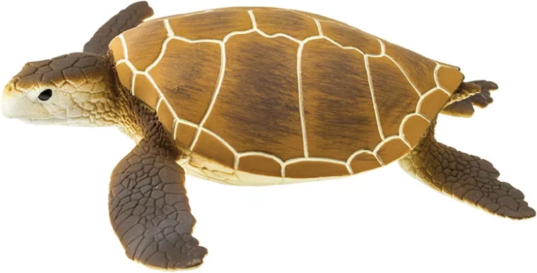 Safari Ltd Figurine Karettschildkröte