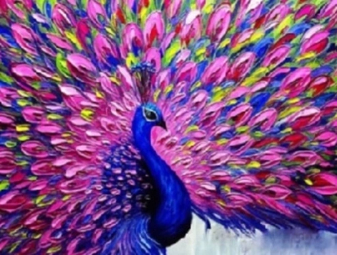 Norimpex Malen nach Zahlen Pfau mit rosa Schwanz 40 × 50 cm