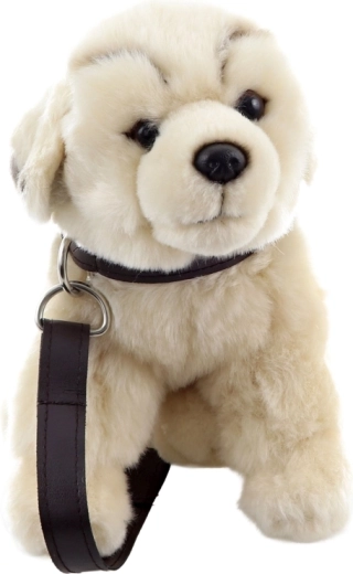 Spiel „Gassi gehen“ dank Halsband und Leine