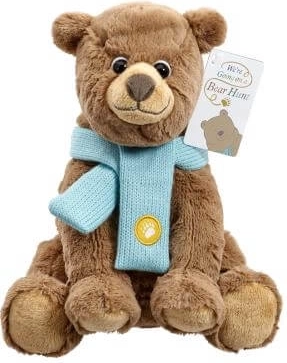 Plüschbär mit blauem Schal