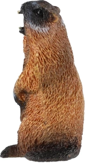 Kompakte Größe