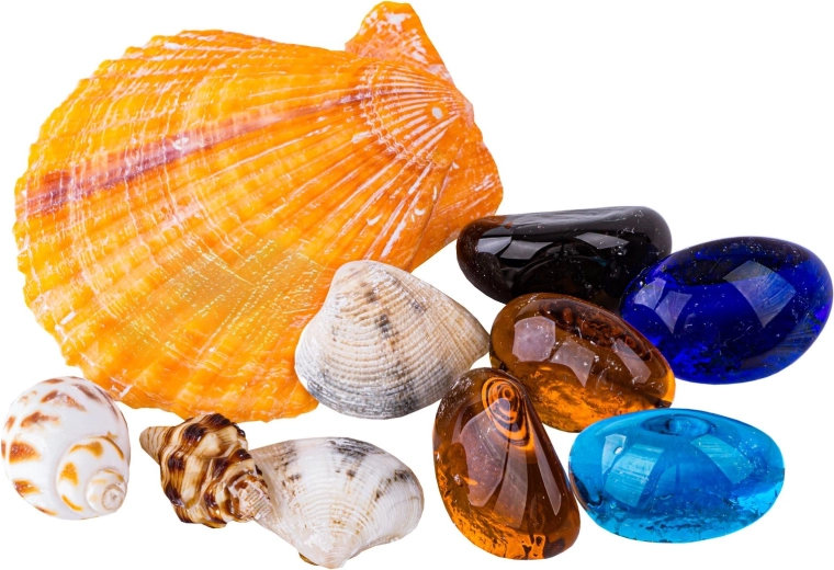 Schätze im Inneren: Steinchen und Muscheln
