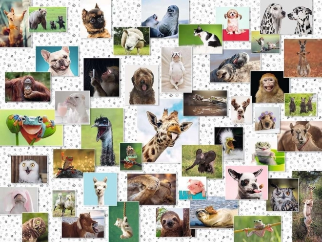 Puzzle Lustige Tiere 1500 Teile Ravensburger