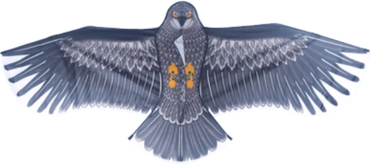 Realistisches Adler-Design