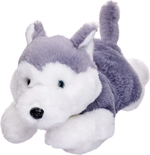 Plüsch-Hund Husky liegend 35 cm