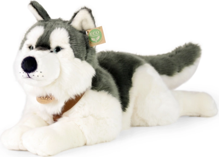 Plüschhund Husky mit Halsband, 60 cm