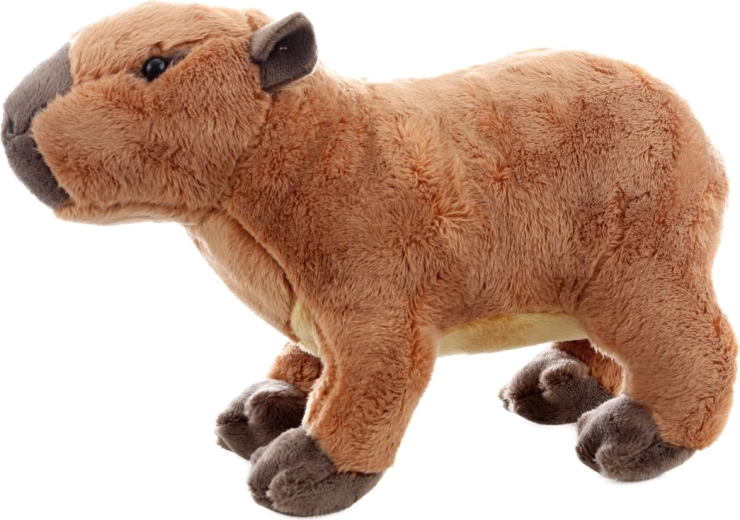 Sicher bereits ab der Geburt