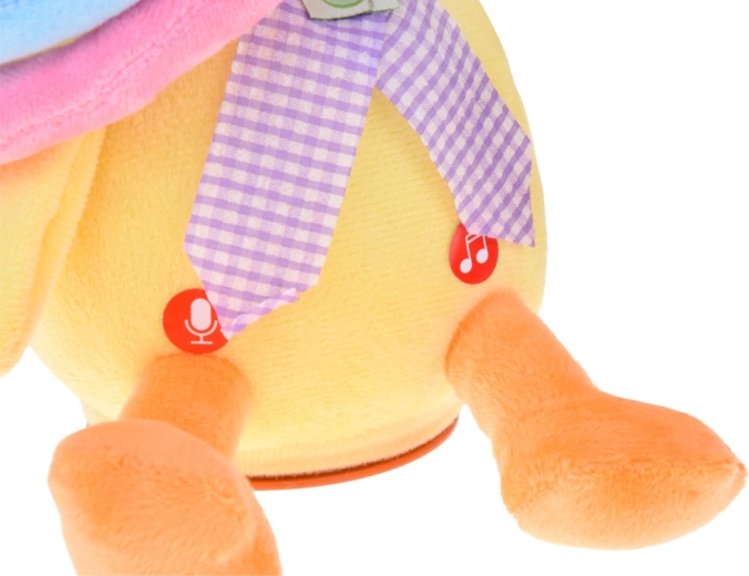 Sprachaufnahme und -wiedergabe