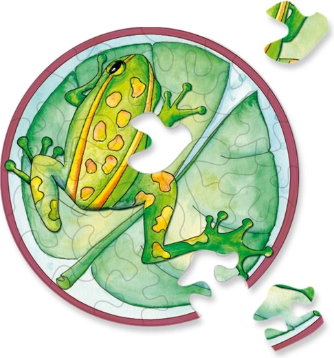 Rundes Puzzle CURIOSI Picoli – Frosch, 33 Teile