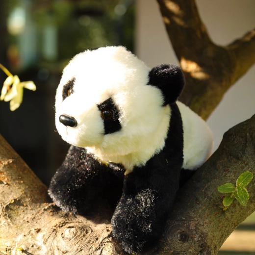 Niedliche Panda zum Kuscheln