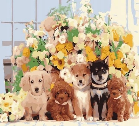 Norimpex Malen nach Zahlen Hunde 40 × 50 cm