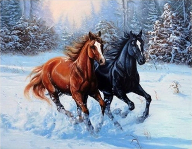 Malen nach Zahlen: Im Schnee galoppierende Pferde 40 × 50 cm