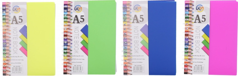 Spiralgebundenes liniertes Notizbuch A5, 100 Seiten
