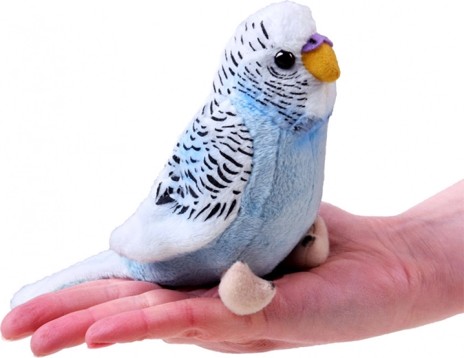 Praktische Handgröße