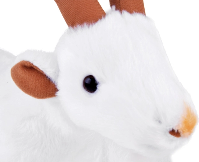 Realistische Details, die begeistern