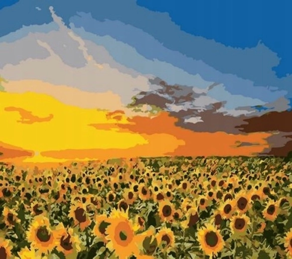 Norimpex Malen nach Zahlen Sonnenblumen im Feld 40 × 50 cm