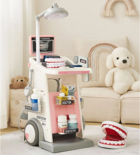 Kiefermodell und umfangreiches Zubehör