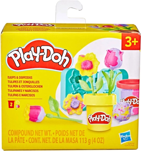 Zwei Blumenvarianten in einem Set-Typ
