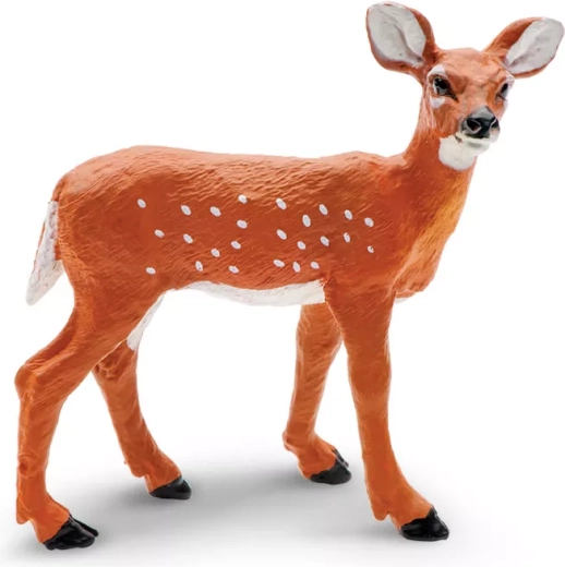 Weißwedelhirsch-Kitz Safari Ltd.