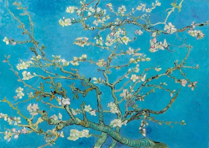 Puzzle Mandelblüte 1000 Teile BLUEBIRD