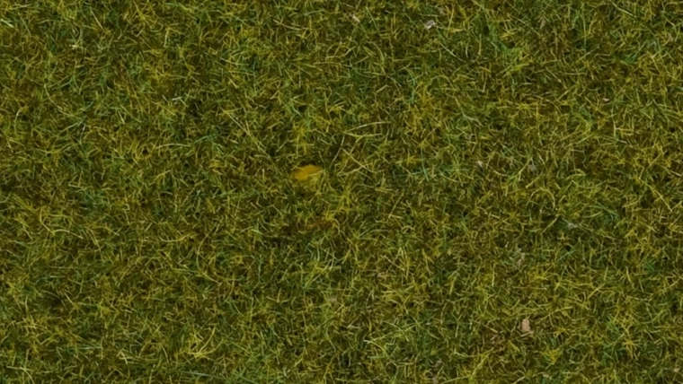 Statische Gras Noch wilde Wiese, 9 mm