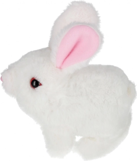 Auswahl aus drei Farben