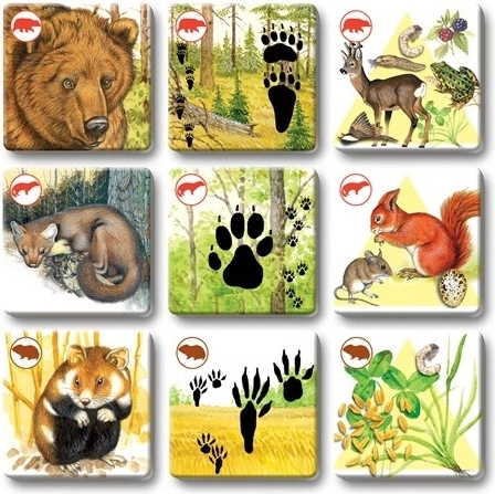 Schöne Illustrationen, die begeistern