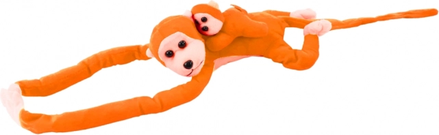 Affe mit Jungtier