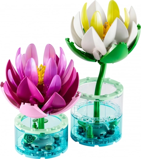 Deko für den Innenraum und Geschenk für Naturliebhaber