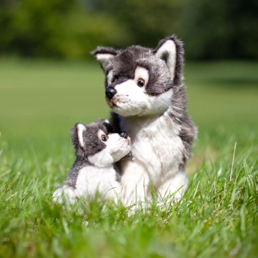 Weicher Wolf zum Kuscheln und Spielen