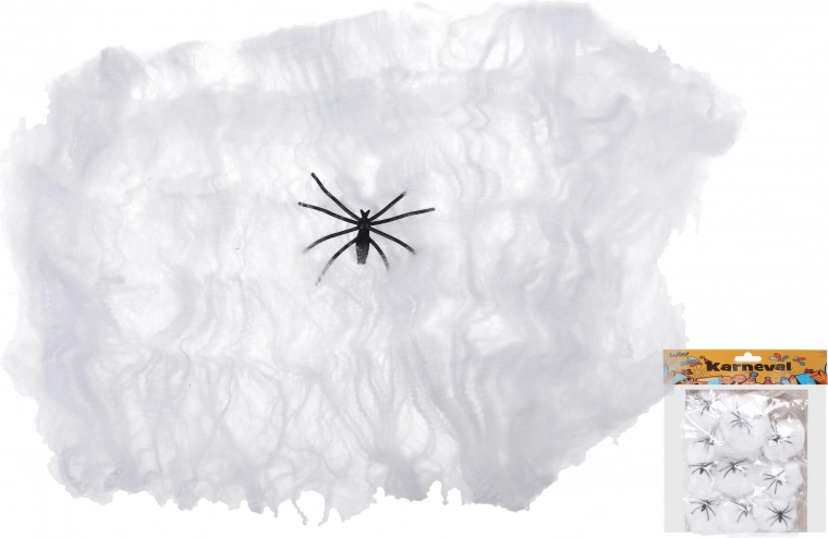 Karneval-Set Spinnennetz mit Spinne