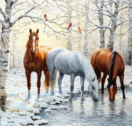 Norimpex Diamantmalerei Pferde am Teich im Winter 30 × 40 cm