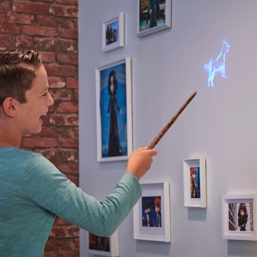 Projiziert den Patronus an die Wand