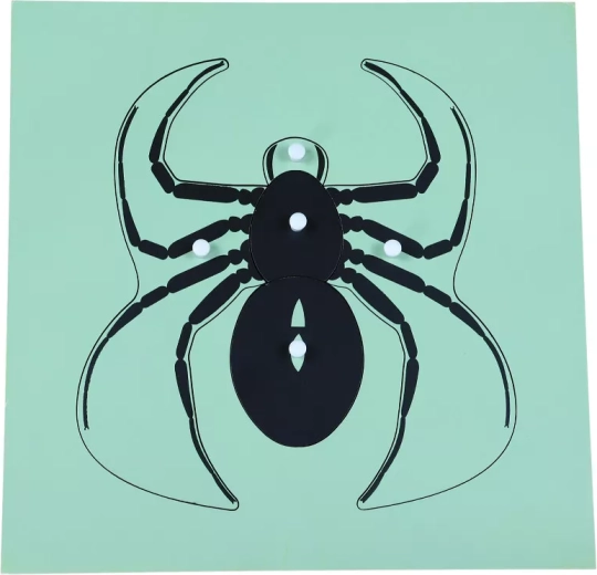 Montessori-Puzzle Spinne