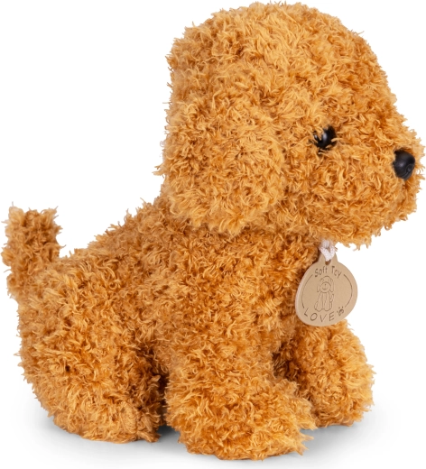 Superweicher, flauschiger Hund zum Kuscheln
