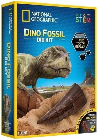National Geographic Dinosaurier-Ausgrabungen