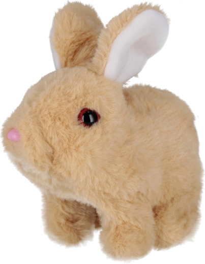 Niedliche Bewegungen und Geräusche